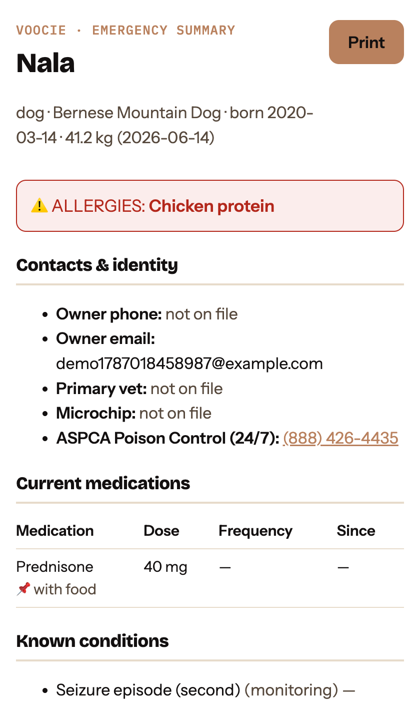 The emergency card: allergies, contacts, current medications, known conditions